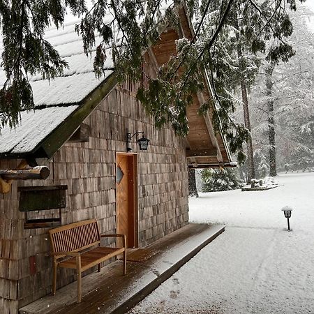 Private Beach House On Lake بليد المظهر الخارجي الصورة